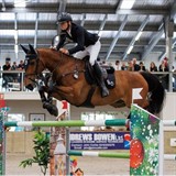 Gangster & Dee off FEI World Cup Final in Switzerland