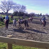 New arena for Solway Showgrounds.