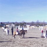 New 100x75m arena at Solway Showgrounds