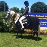 Newcomer Saddle Hunter under 138cm