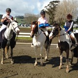 Winter Series Winners - Ponies