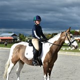 Solway College Inter-School Dressage Event