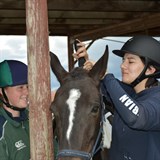 Solway College Inter-School Dressage Event