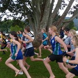 XC Photos