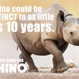 Save the Rhinos