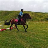 Onslow pony club