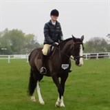 Showtym Chief at Spring into action