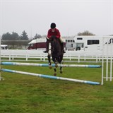 Showtym Chief at Spring into Action