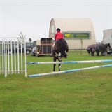 Showtym Chief at Spring into action